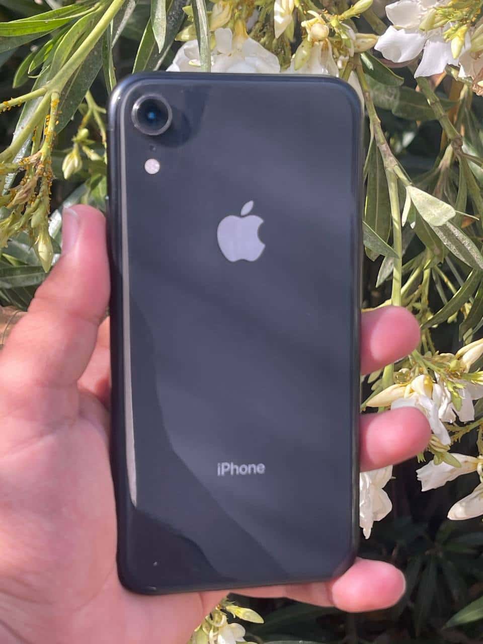 📱 فروش عاجل iPhone XR